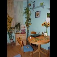 Подсолнуховая кухня