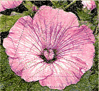 Photostitch. Цветок 