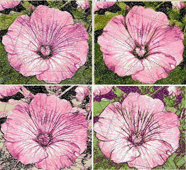 Photostitch. Варианты