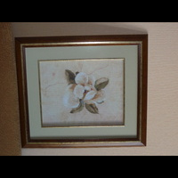 Candamar Орхидея