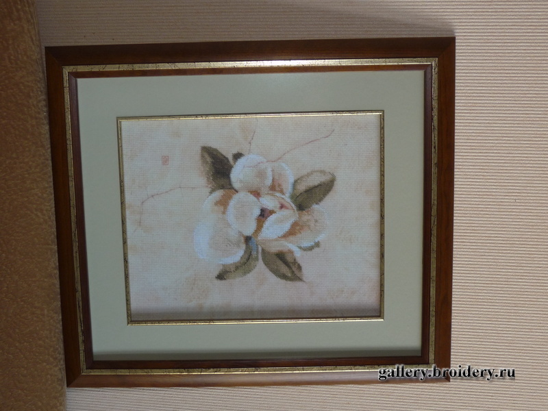 Candamar Орхидея