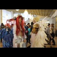 Хиноде -2012. Косплей (cosplay)
