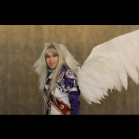 Хиноде -2012. Косплей (cosplay)