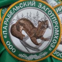 Парабель-2
