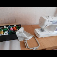 Brother Innov-is 950