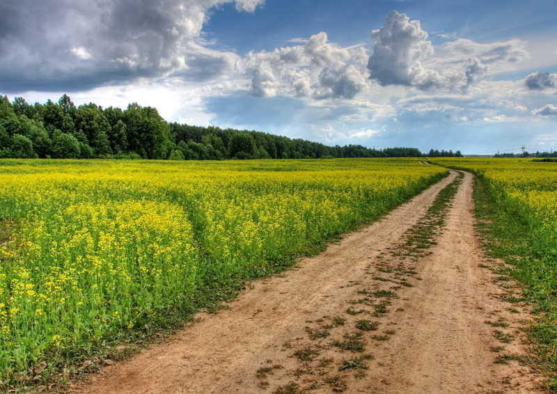 IMG_6442_3_4_tonemapped