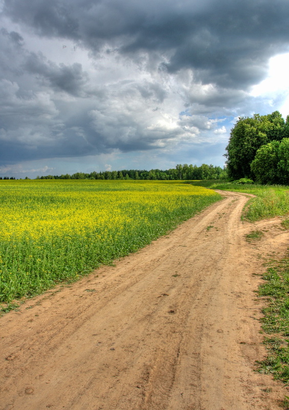 IMG_6481_2_3_tonemapped