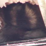 DSC07565