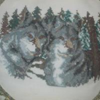 DSCN0070
