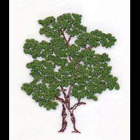 одинокое дерево