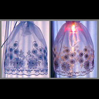 фонарик - птица счастья