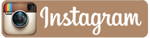 inst-300x76