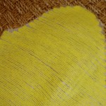 Желтый жакет.4