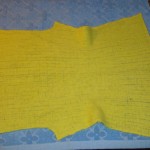 Желтый жакет.22