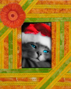 16_Как сшить паспарту