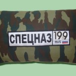 Подушка в авто. Машинная вышивка