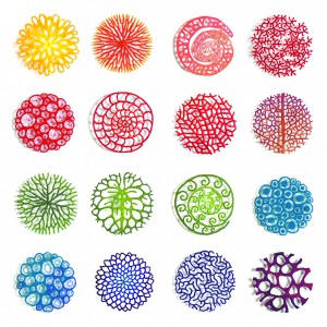 Meredith Woolnough