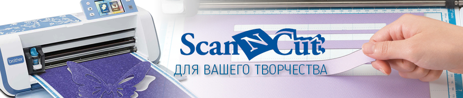 ScaNNCut2