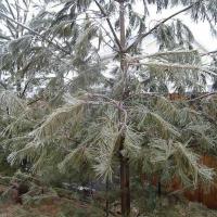 кап-кап-кап... ледяным дождем