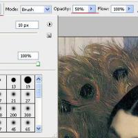 Машинная вышивка. Photostitch. PE-Design 