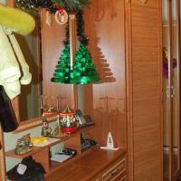 Встречаем 2008