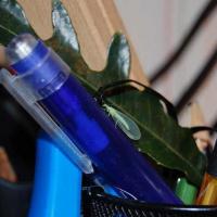 Звать Златоглазка. Обожает паутинного клеща кушать. За что весьма уважаема в доме.