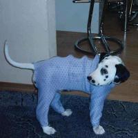 первые ползунки 0))))