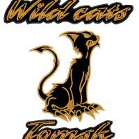Wild_cats-00