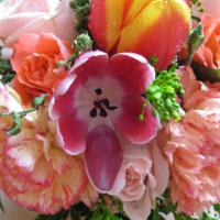 Delora