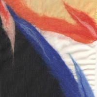 нановойлок