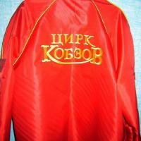 Цирк Кобзов