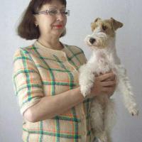 Ткань в клеточку из мохера