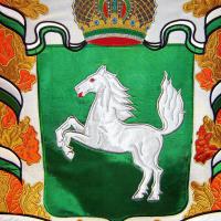 Томская область, флаг3