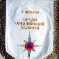 МЧС 1 место вымпел