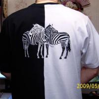 ШитиЕ мое и немножко вышивки