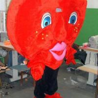 Изображение-008