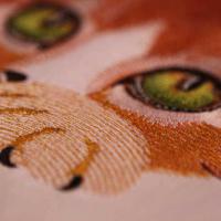 Машинная вышивка. Wilcom