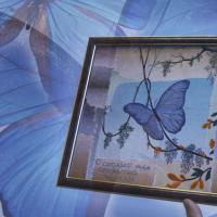 Машинная вышивка. Бабочка. Создано в программе Compucon