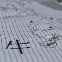 Машинная вышивка. Janome MC 200E