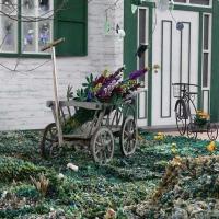 Трава у дома. Квилт. Фестиваль в Токио. 