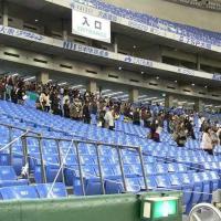 Фестиваль Квилта