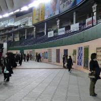 Фестиваль Квилта. Токио