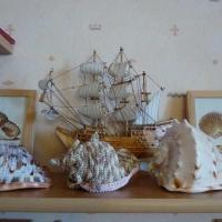 Ракушка в интерьере