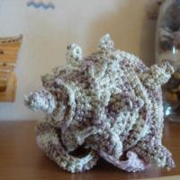 Ракушка Cypraecassis rufa