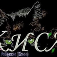 Кошки. очарование мое...