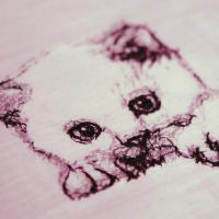 Машинная вышивка. Akvis Sketch. Фотостежок (Photostitch)