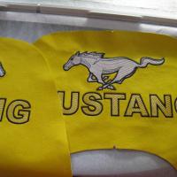 Мустанг1