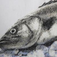 Фотостежок. Рыбка