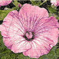 Фотостежок (Photostitch)