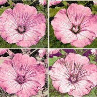 Photostitch. Варианты